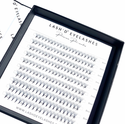5D 0.07mm C+ Curl 200 Fan Pro Made Lash Trays Single Length | Mixed length | Volume Eyelash Extensions