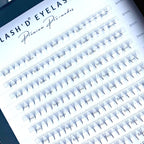 200 Promade Fan Lash Tray for 6-8mm - Lash'd Eyelashes