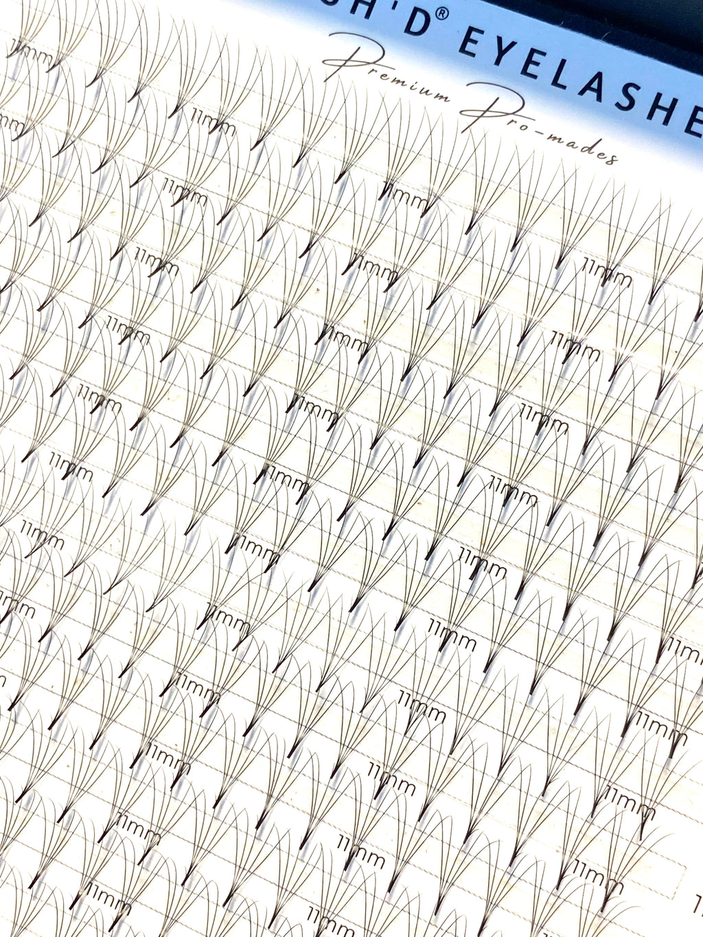 5D 0.07mm 500 Fan Promade XXL Lash Tray  - Premium PBT Fibres