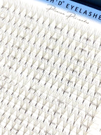 5D 0.07mm 500 Fan Promade XXL Lash Tray  - Premium PBT Fibres