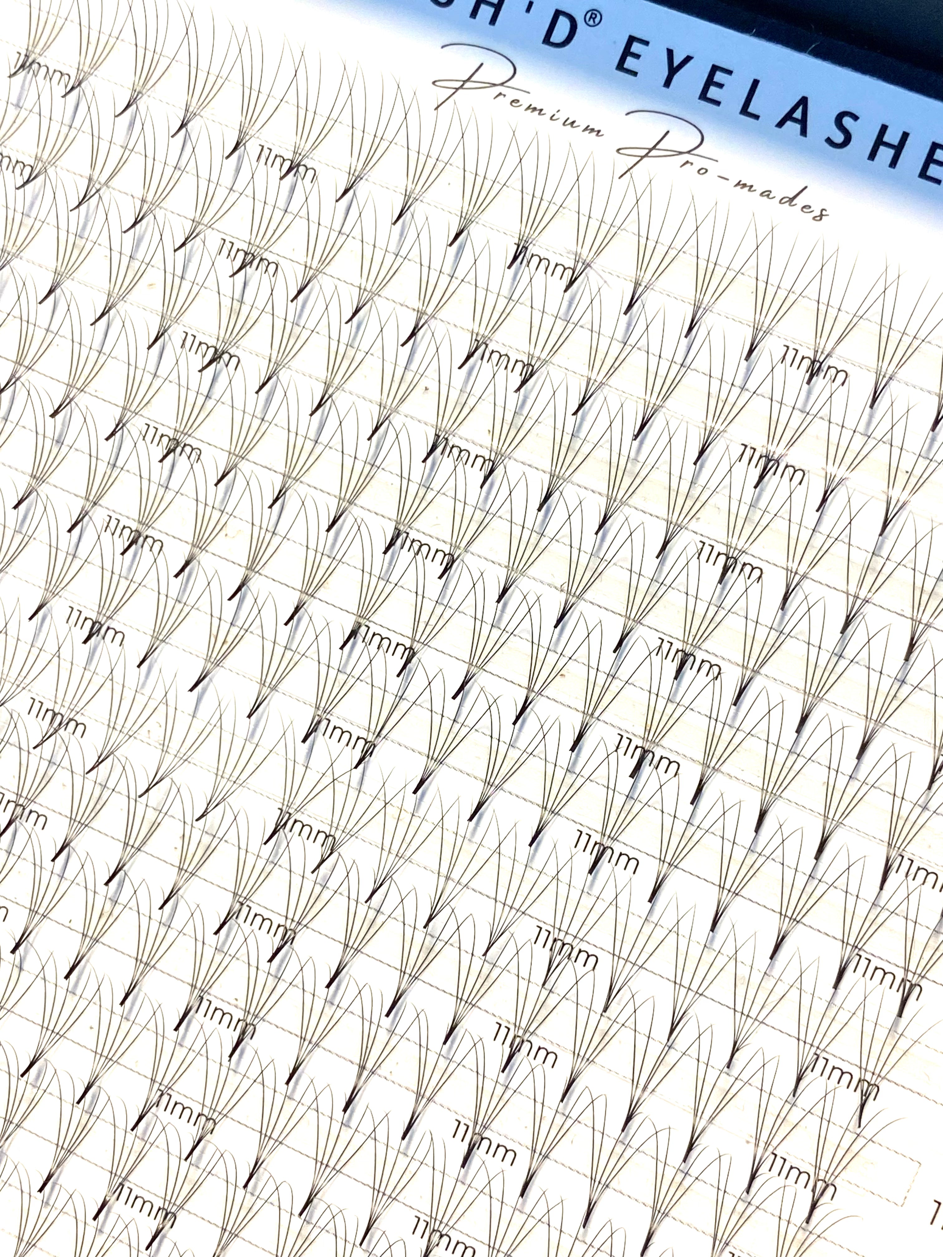 4D 0.07mm 500 Fan Promade XXL Lash Tray  - Premium PBT Fibres